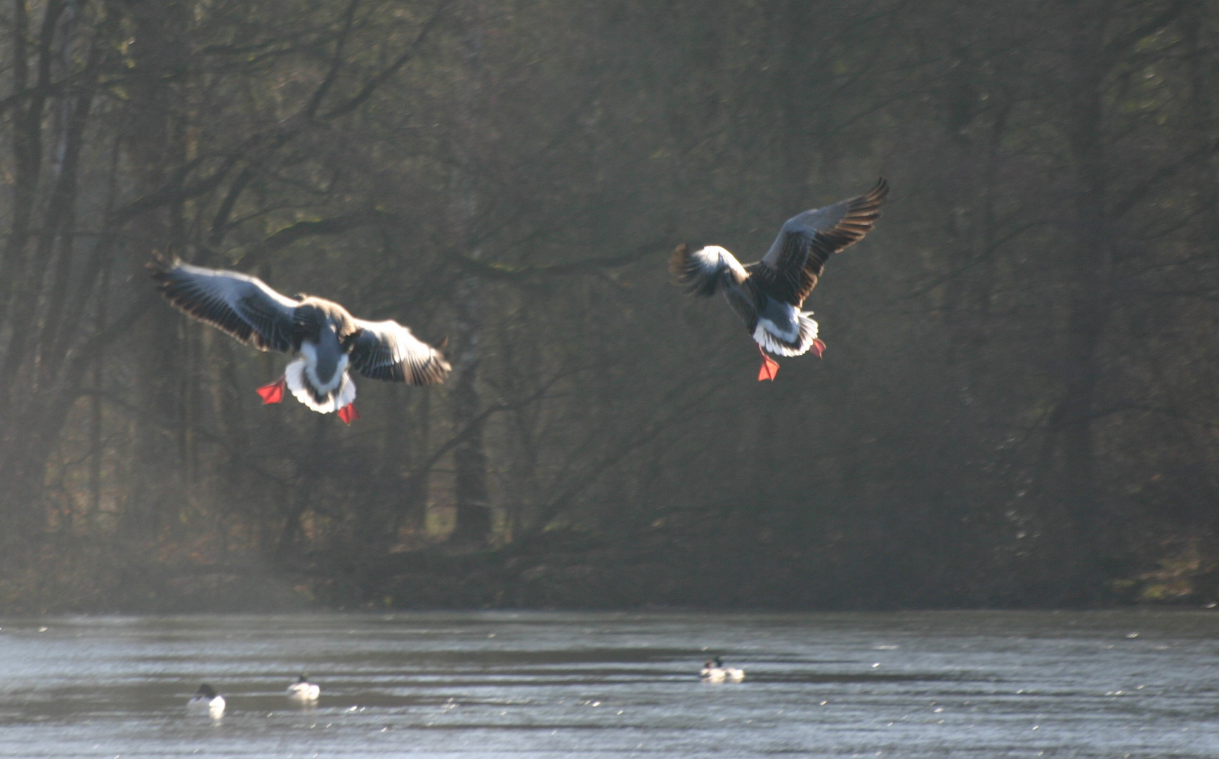 Am Pape´s Teich in Moisburg