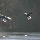 Am Pape´s Teich in Moisburg