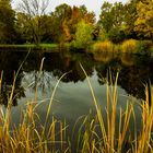 Am Park-See die schönste Jahreszeit