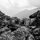 Am Passo di Gavia.     .DSC_8939