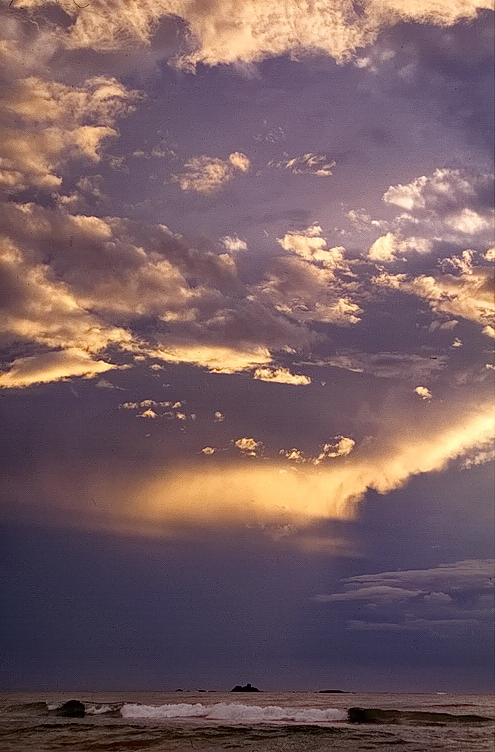 Am Pazifik Foto & Bild | natur, motive Bilder auf fotocommunity