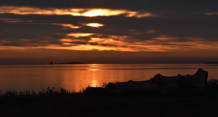 Am Peenestrom zum Sonnenaufgang....