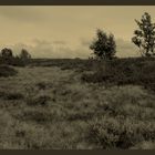 Am PeerGyntWeg