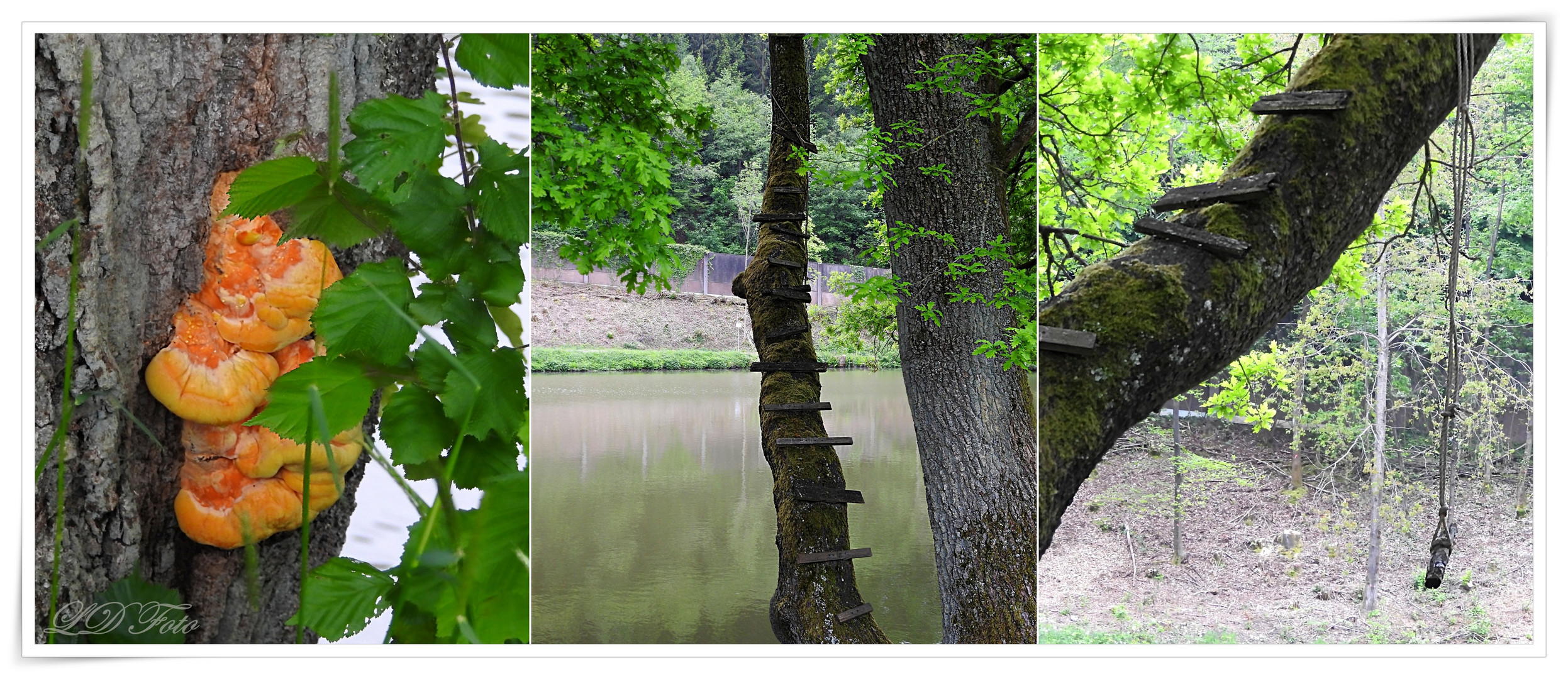 am Peimbachweiher 0