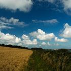 am Pembrokeshire National Coast Path unterwegs