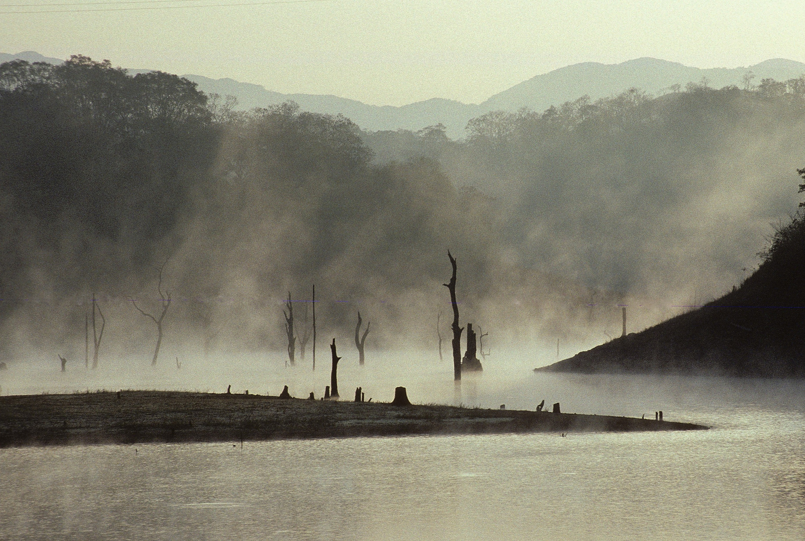 am Periyar Lake