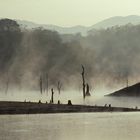 am Periyar Lake