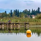 Am Pfäffikersee ...