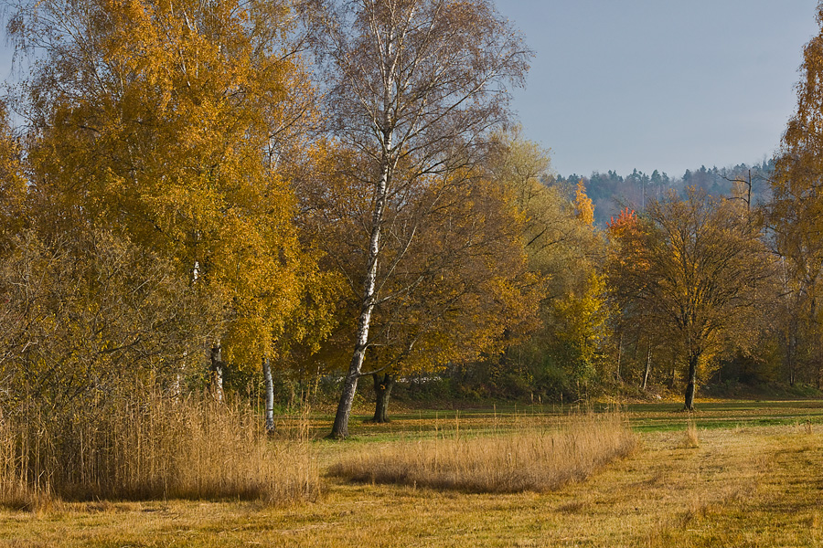 am Pfäffikersee