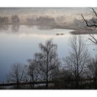 Am Pfäffikersee