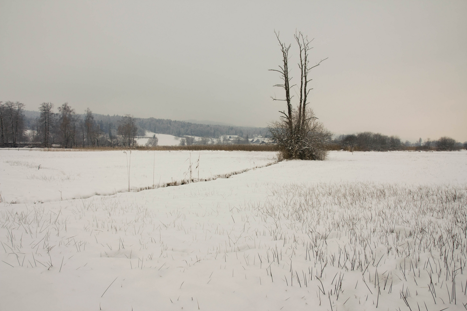 am Pfäffikersee