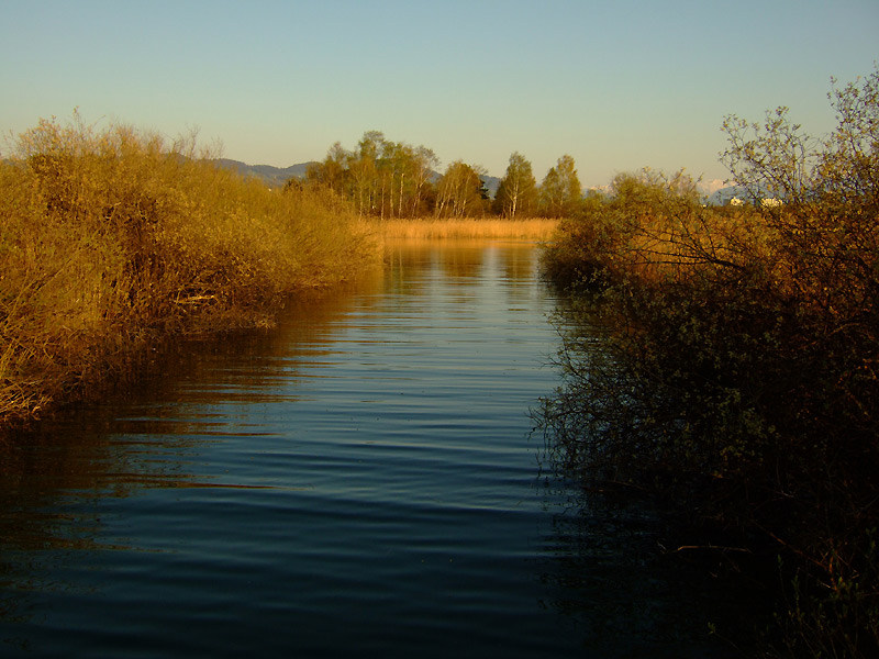 Am Pfäffikersee