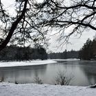 Am Pfaffensee bei Stuttgart