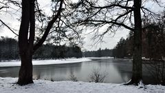 Am Pfaffensee bei Stuttgart