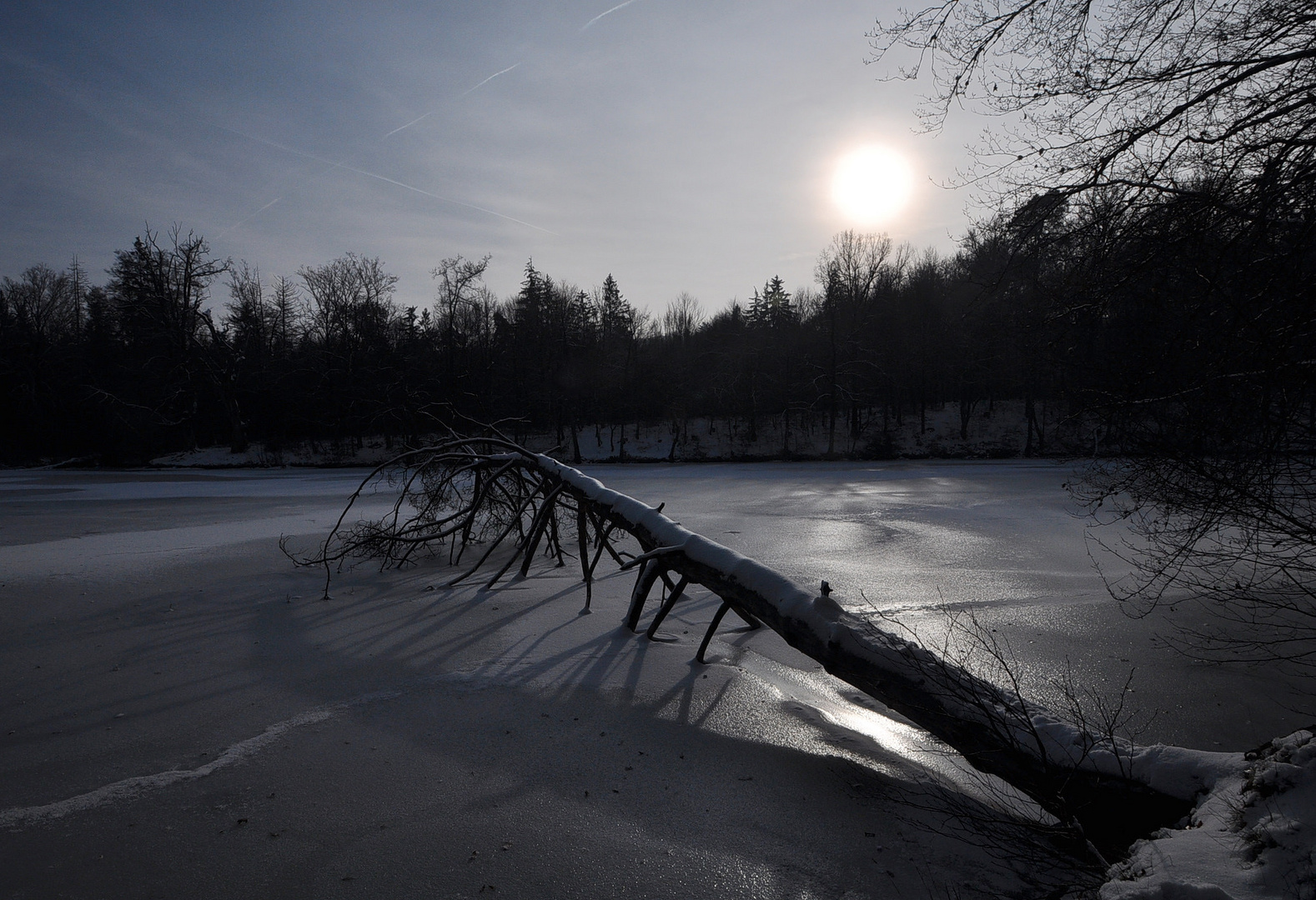 Am Pfaffensee in Stuttgart