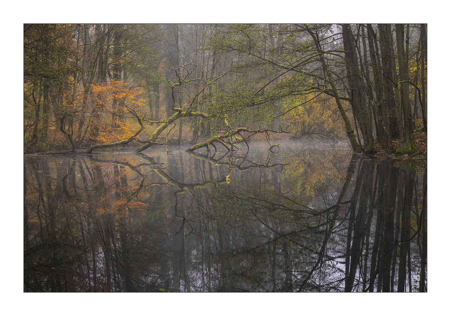 Am Pfannwaldsee