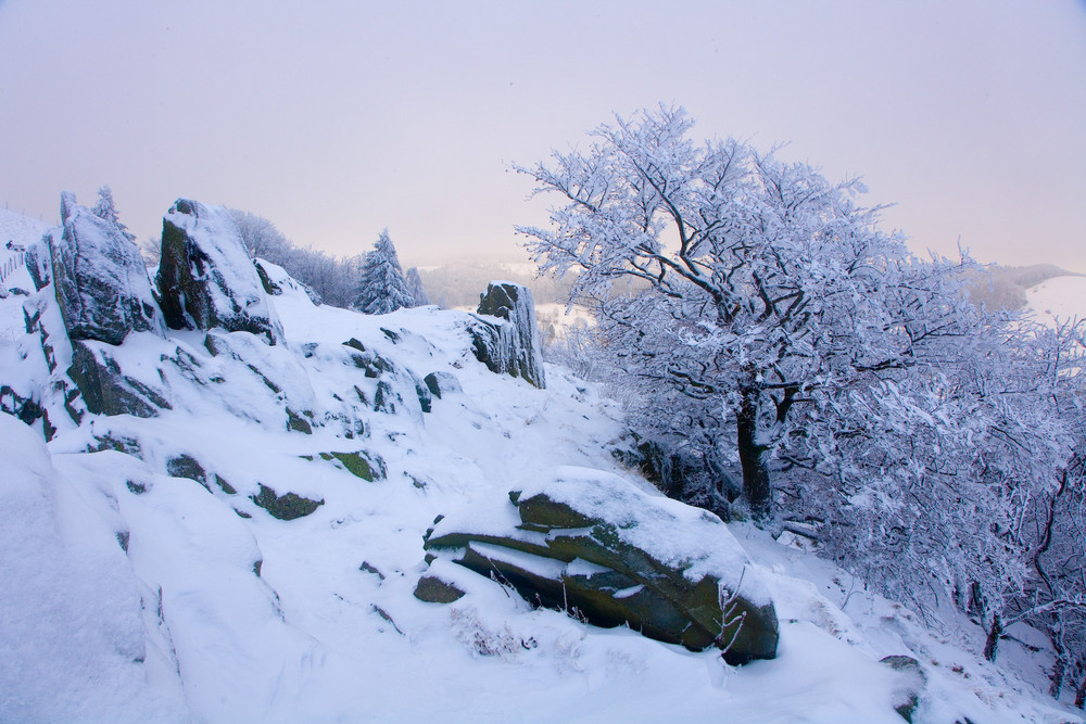 Am Pferdskopf in der Rhön