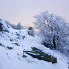 Am Pferdskopf in der Rhön