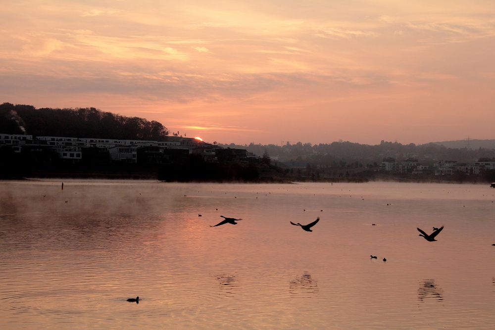 Am Phoenixsee