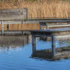 Am Phönixsee in Dortmund 