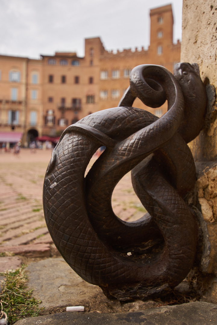  Am Piazza del Campo