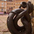  Am Piazza del Campo