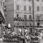 Am Piazza del Campo