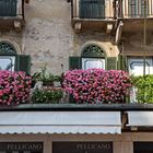 Am Piazza delle Erbe in Verona