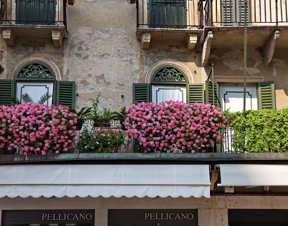 Am Piazza delle Erbe in Verona