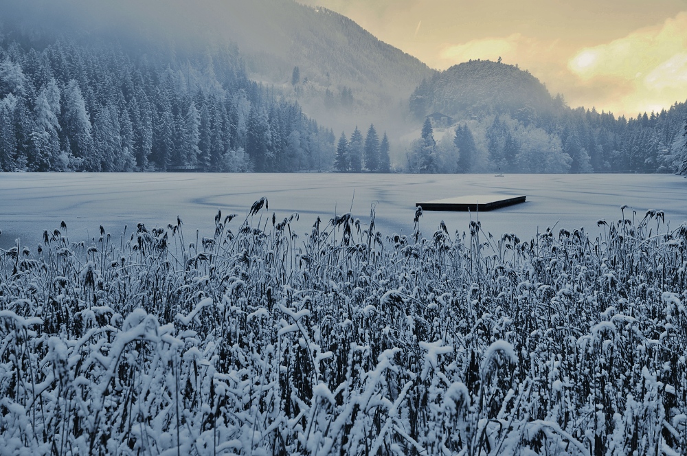 Am Piburger See II