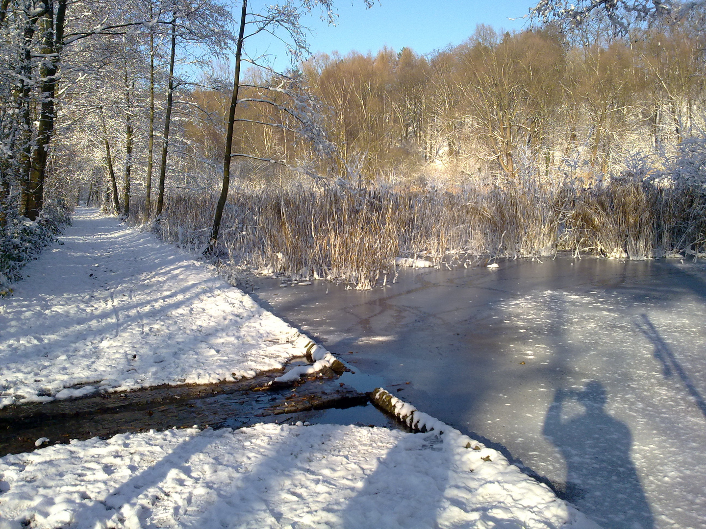 Am Pillebach in Gerresheim