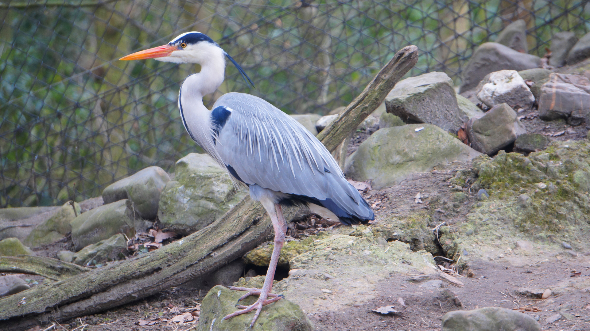 Am Plankendaelpark in Belgien