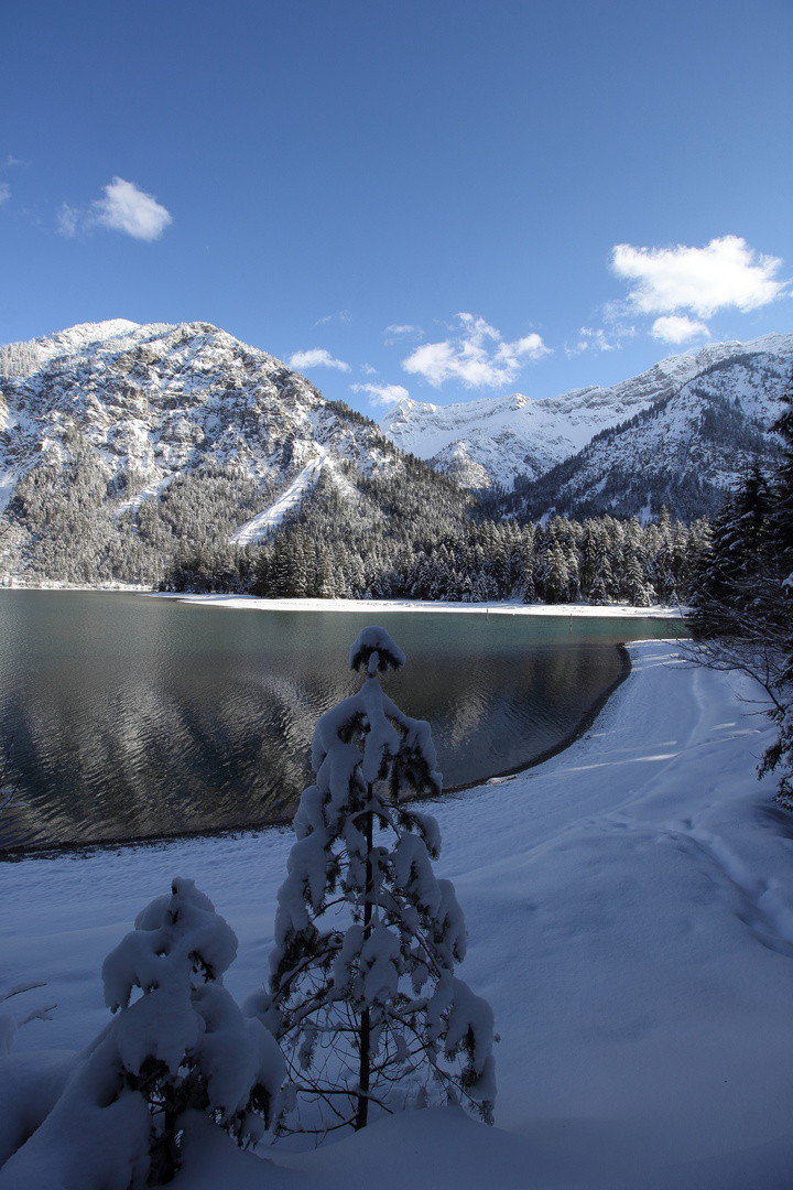 am Plansee 13 2 2018