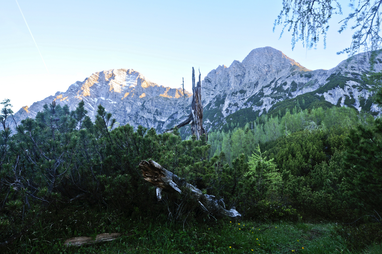 Am Plattenkogel,