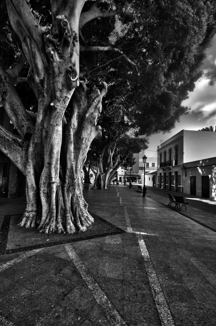 Am Plaza de la Constitución in San Sebastián de La Gomera