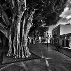 Am Plaza de la Constitución in San Sebastián de La Gomera