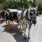 Am Plaza Espania