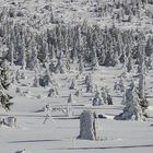 Am Plöckenstein im Böhmerwald