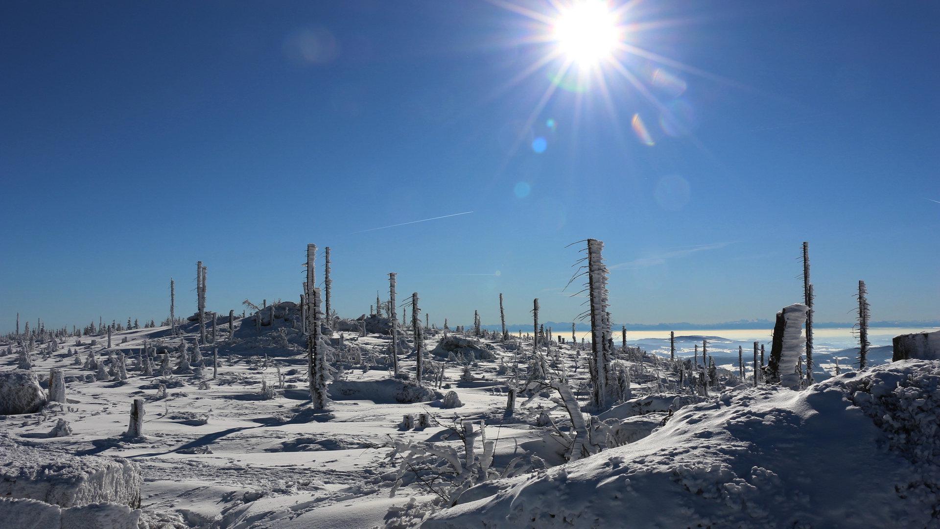 Am Plöckenstein im Böhmerwald