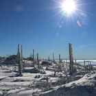 Am Plöckenstein im Böhmerwald