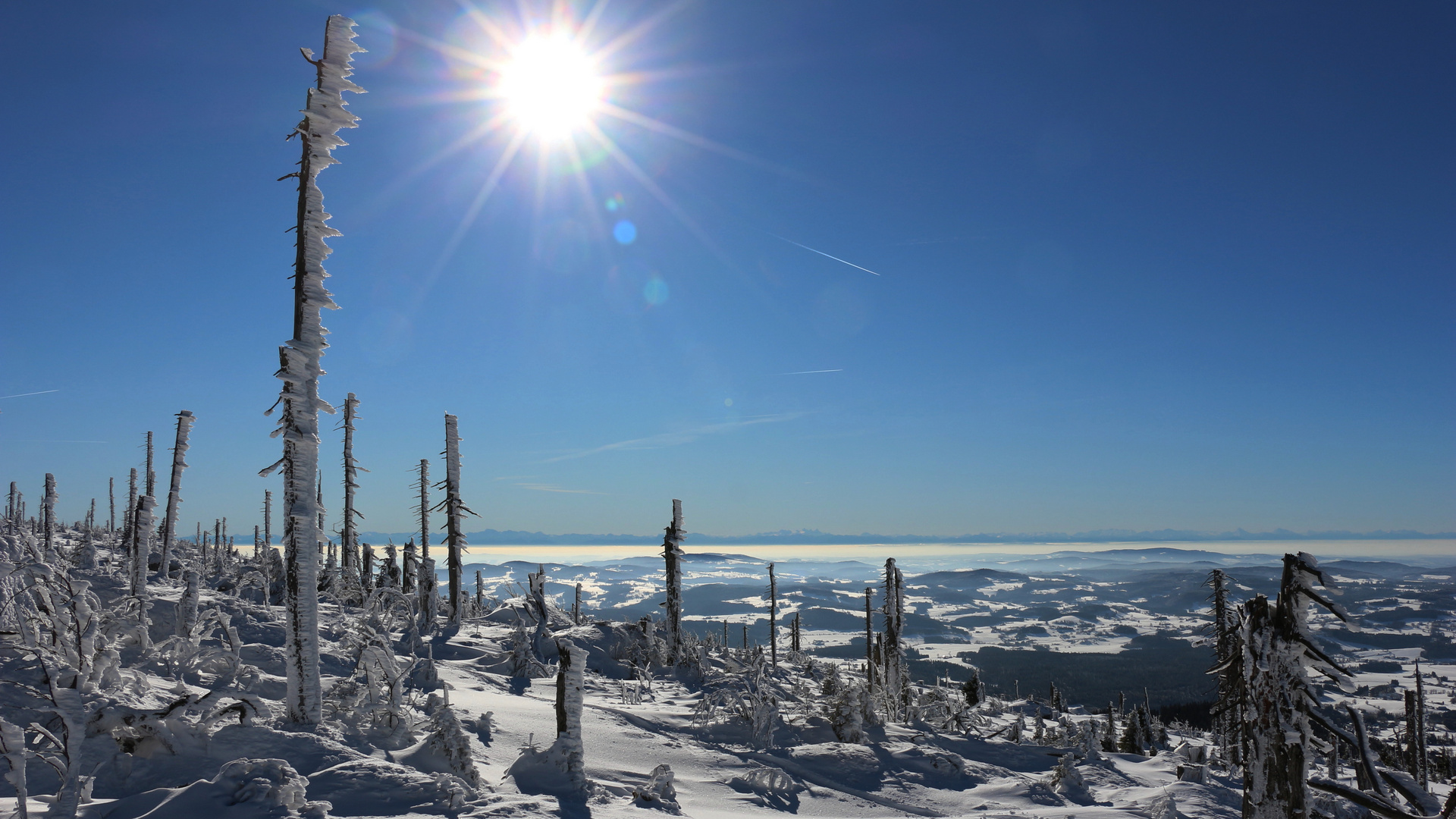 Am Plöckenstein im Böhmerwald