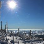 Am Plöckenstein im Böhmerwald