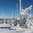 Am Plöckenstein im Böhmerwald