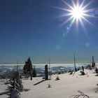 Am Plöckenstein im Böhmerwald