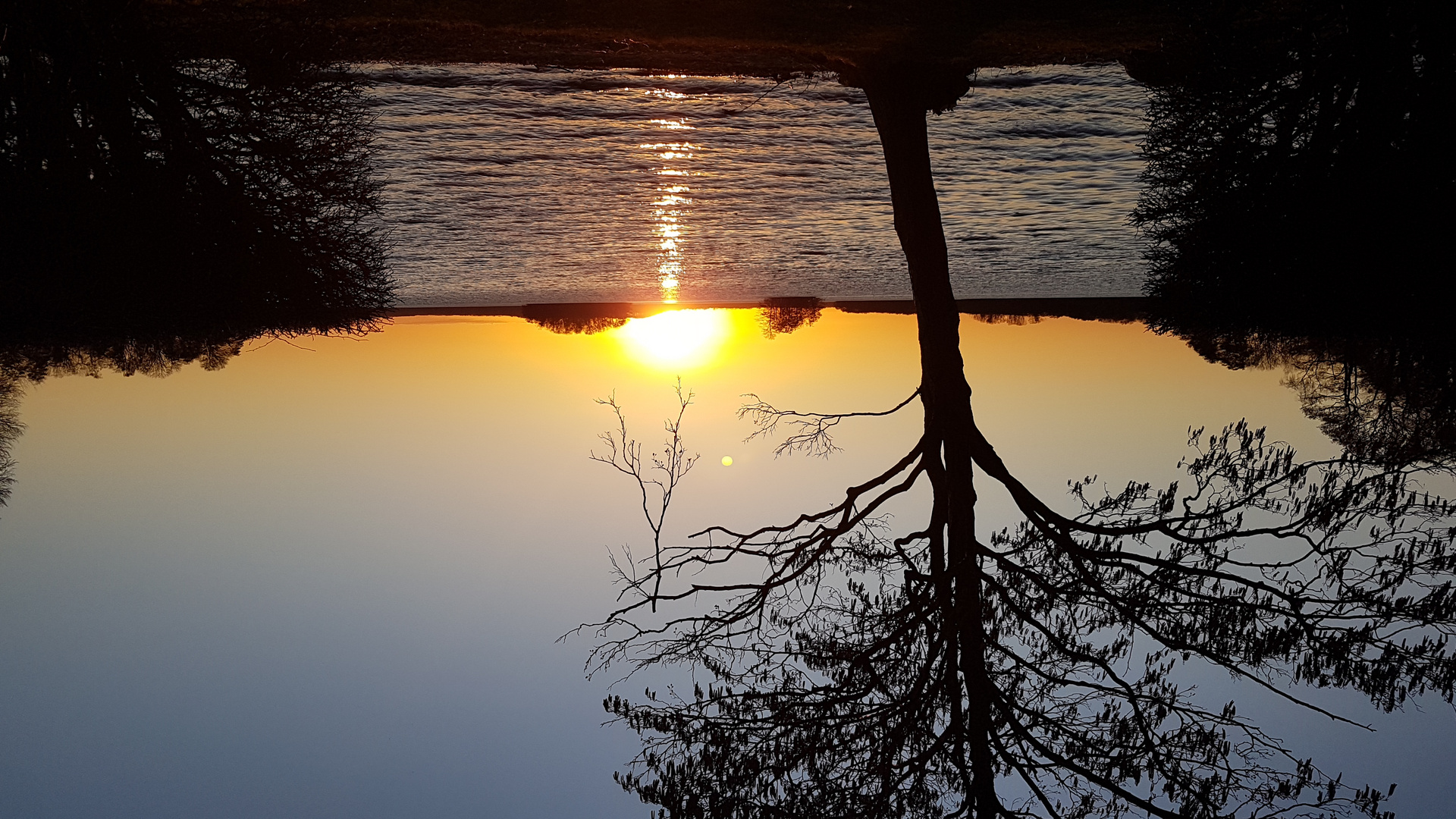 Am Plöner See