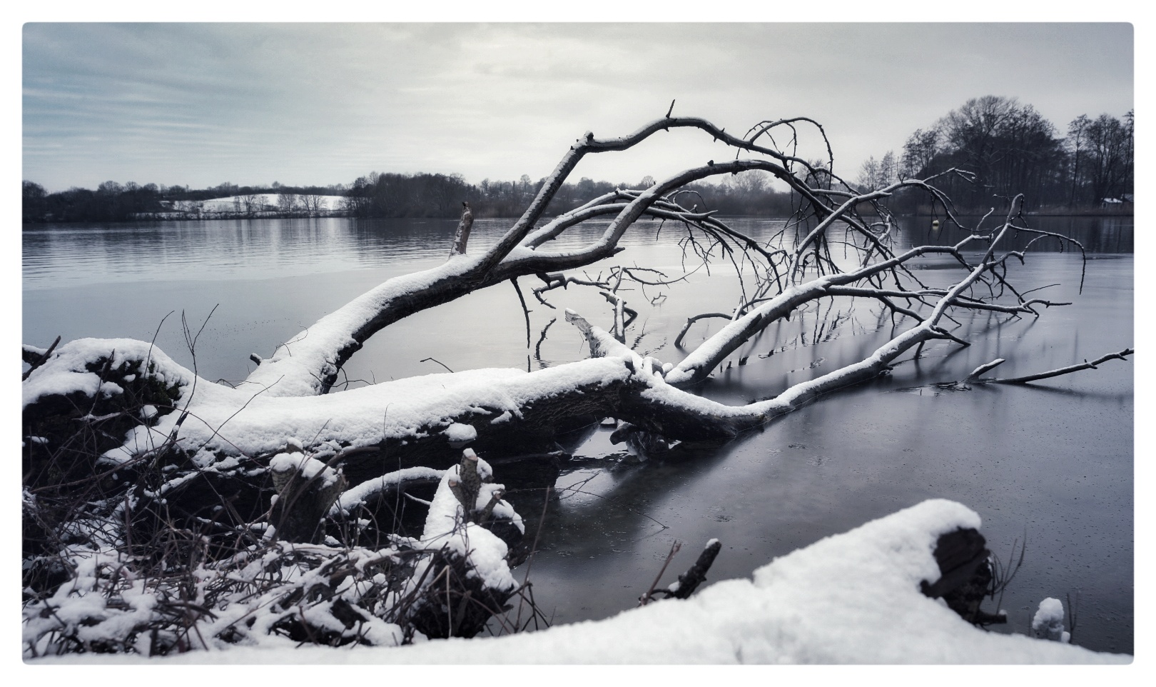 am Plöner See