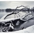 am Plöner See