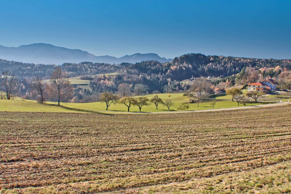 Am Plöschenberg