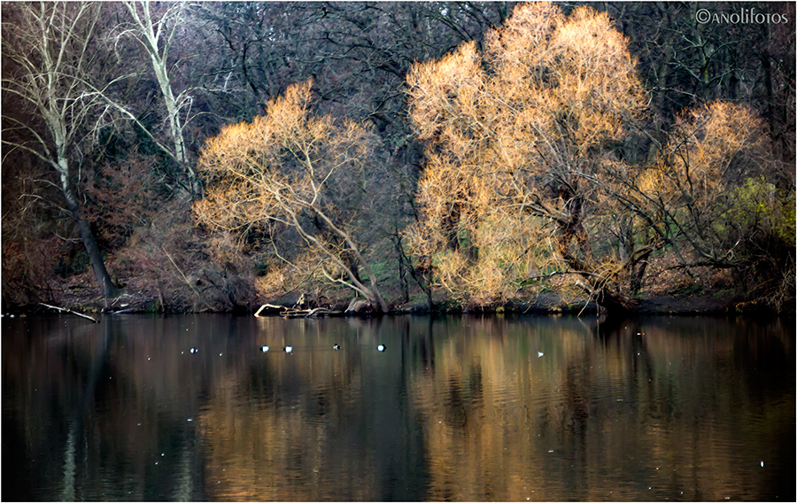 Am Plötzensee