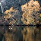 Am Plötzensee